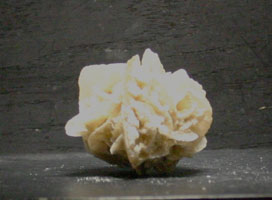 Selenite rose (gypsum)