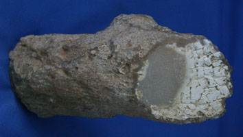 Nevada limb cast