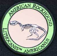 Lithocanis americanus - Patch